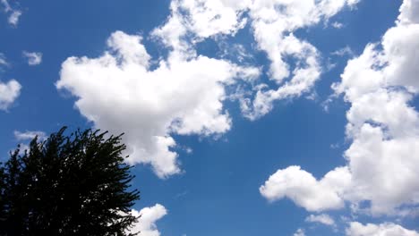 hermosas nubes blancas pasan a la deriva en un cielo azul brillante, lapso de tiempo