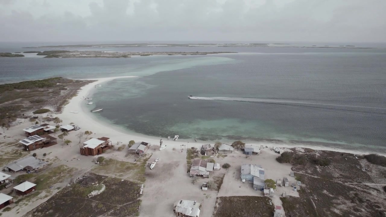 Sorvolo aereo dall'alto della splendida spiaggia di Cayo Crasquí con sabbia bianca incontaminata, acque caraibiche cristalline e case sulla spiaggia, Los Roques, Venezuela, 4K Dlog.