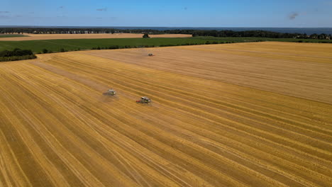 three combine harvester hard working on wheat field during sunny day, aerial footage