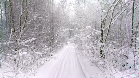 Paisaje-Invernal-Con-Un-Sendero