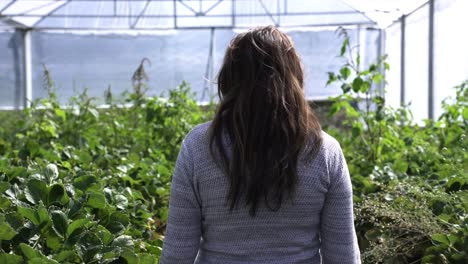 Mujer-Caminando-En-Una-Granja-De-Frutas,-Vista-Trasera