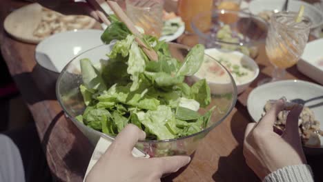 cropped shot of people eating healthy food outdoor