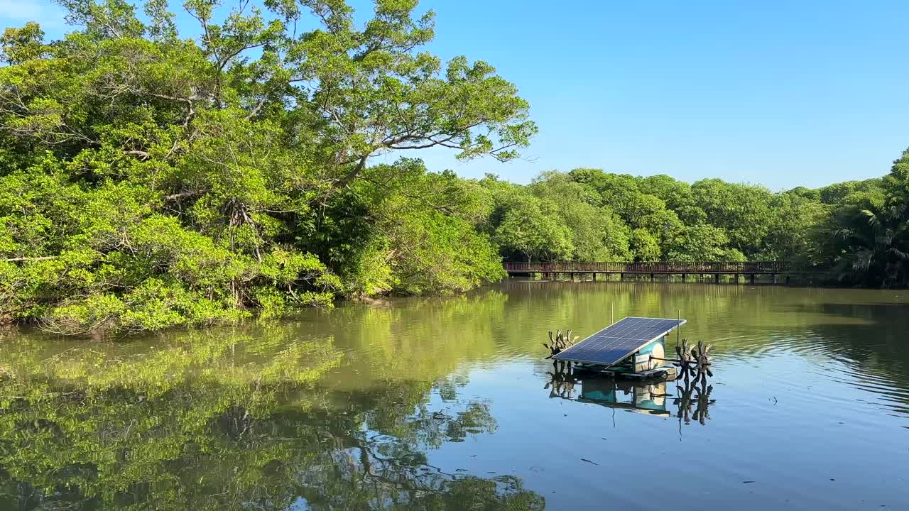 Lush Bangkok park nature scene with calm pond reflections tropical greenery peaceful urban oasis atmosphere
