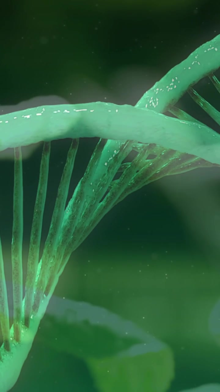 Animazione di un filamento di DNA 3D verde che ruota sopra delle piante