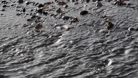 A-closeup-of-fast-flowing-water-in-the-River-Arrow,-Warwickshire,-UK-on-a-cold-autumn-day