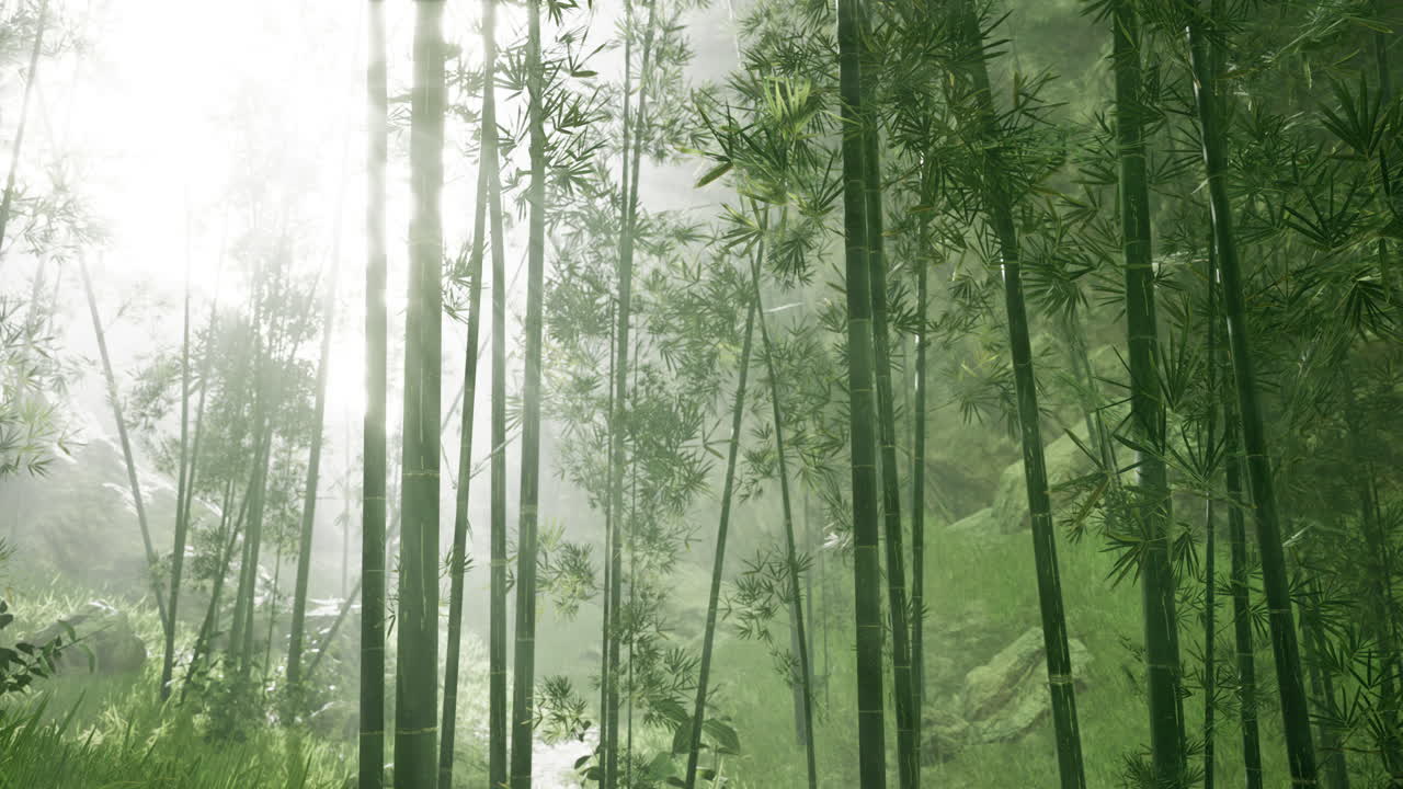 동남아시아 의 열대 정글