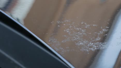 close up of damage left from bird poop
