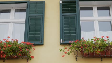 Ventanas-De-Persianas-Verdes-Abiertas-Del-Edificio-Beige-Durante-El-Día