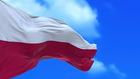 seamless loop of poland flag.