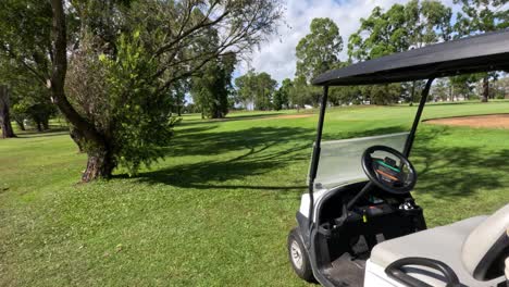 a golf cart moving along a path in a park