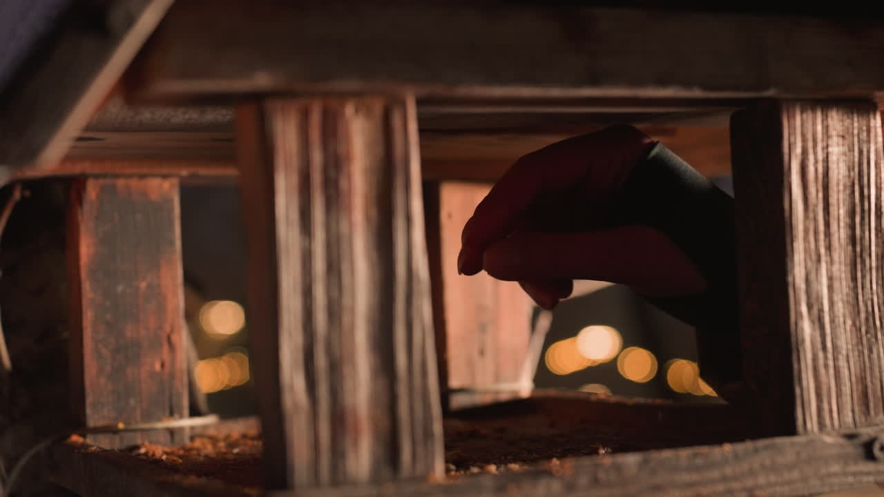 뒷면에 흐릿한 불빛을 가진 나무 새집에 새 먹이를 넣는 손의 클로즈업, 저녁에 겨울 공원에서 야외에서 비둘기를 돌보는 모습