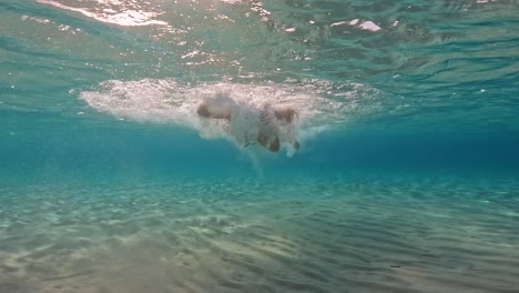 Escena-Submarina-De-Una-Niña-Nadando-Y-Divirtiéndose-En-Aguas-Cristalinas-De-Mar-Tropical-Azul-De-Una-Isla-Exótica