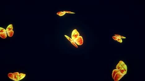 3d animation of a beautiful butterflies background