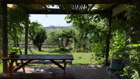 escena de jardín pacífico con vegetación exuberante