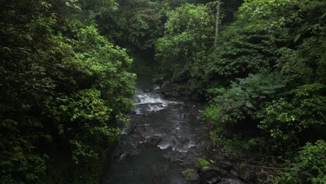 Un-Río-Con-Rocas-Y-Alrededores-Selváticos-En-Una-Tarde-Nublada-En-Bali,-Indonesia