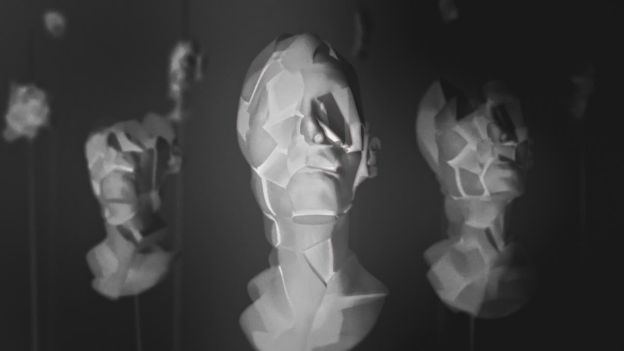 Broken mannequin head shells in xray