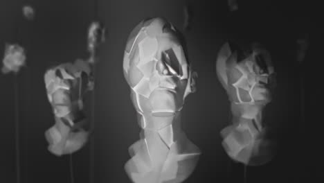 broken mannequin head shells in xray