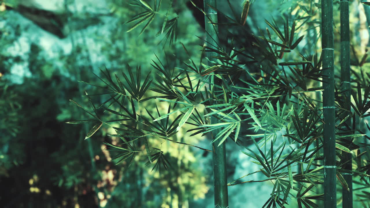 primer plano de un exuberante bosque de bambú con hojas verdes y tallos