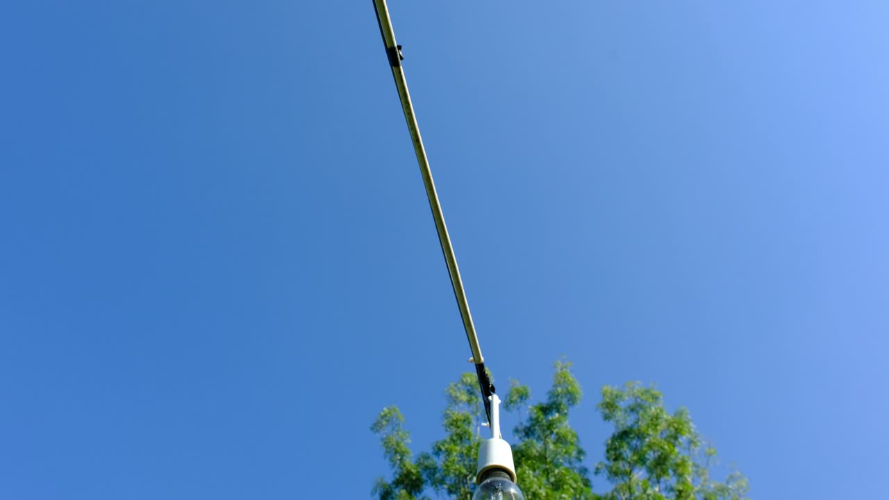 Light bulbs on string