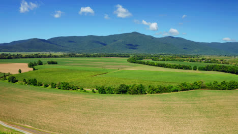 aerial view over green fields and mountains during summer in cairns, queensland, australia - drone shot