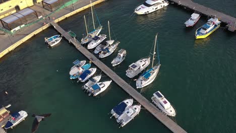 aerial view of boats docked with a pullback to reveal the port of pafos