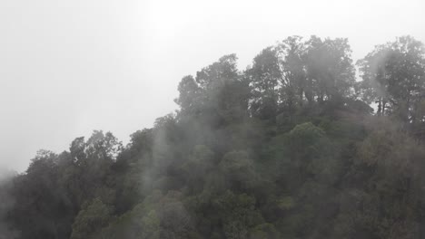 low clouds passing over a lush jungle landscape in southeast asia