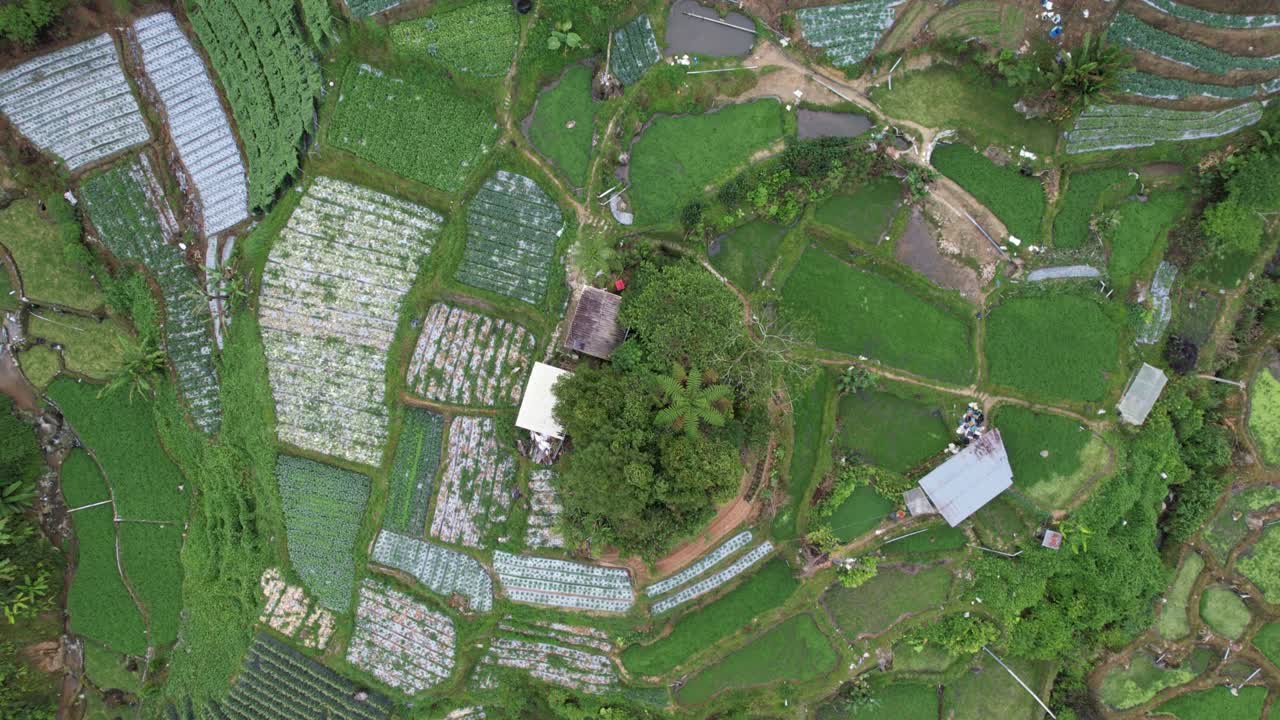 общий ландшафтный вид района бринчанг в пределах камеронского нагорья малайзии