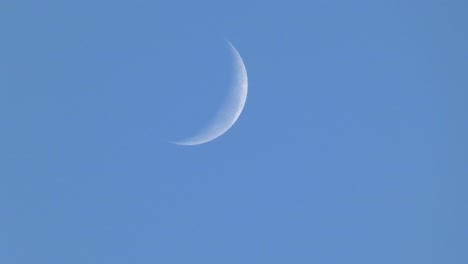 Luna-Creciente-Menguante-Todavía-Visible-En-El-Cielo-Matutino---Canterbury,-Nueva-Zelanda