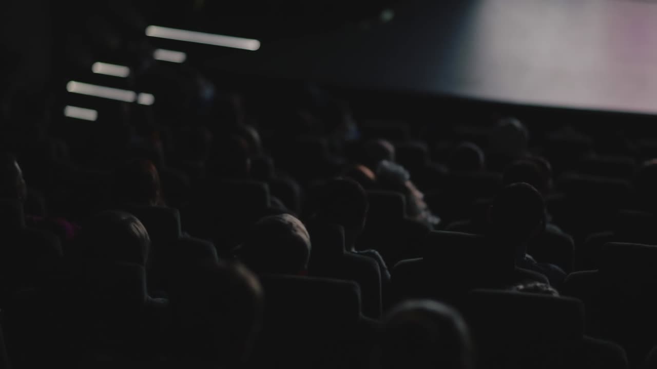Pubblico del cinema