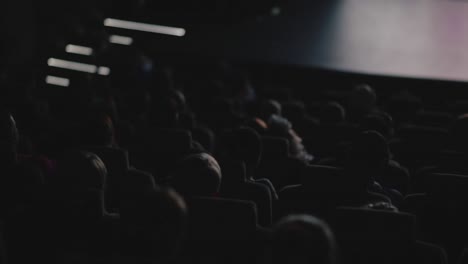 movie theater audience