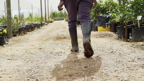 African-male-farmer-walking-through-nursery