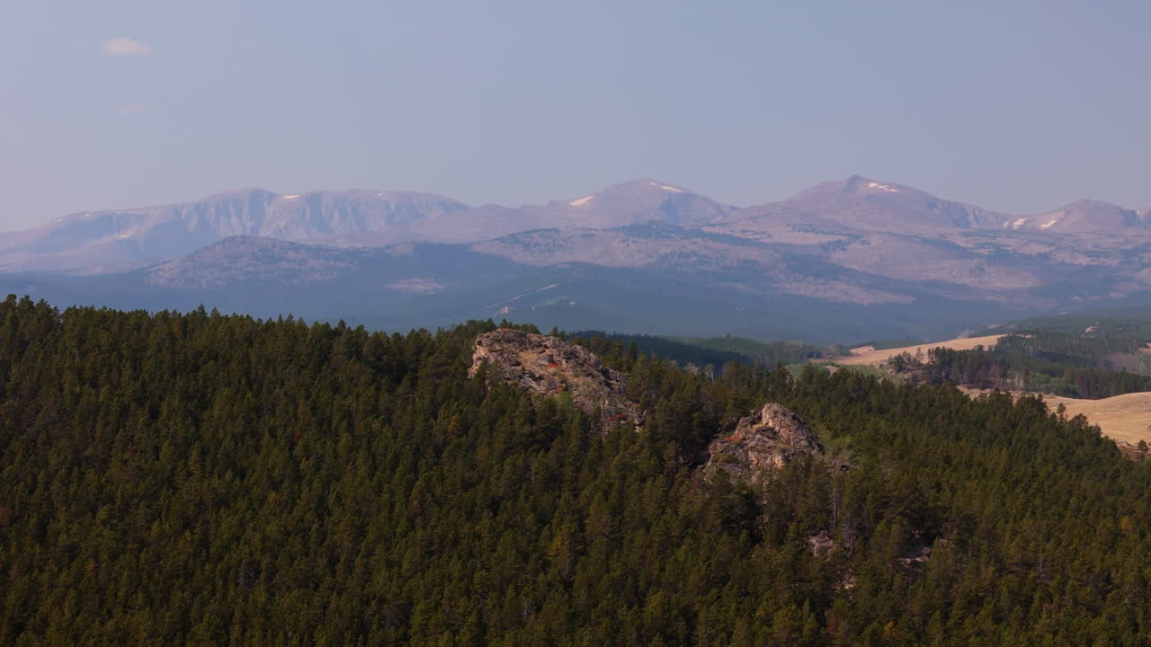 Mountain Scenery with Pine Forest