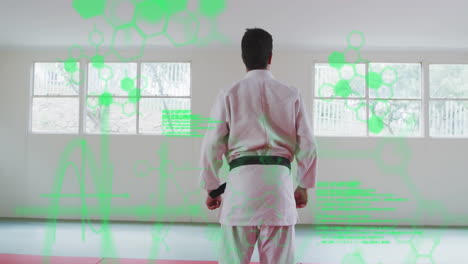 martial artist in white uniform with green belt, processing scientific data animation
