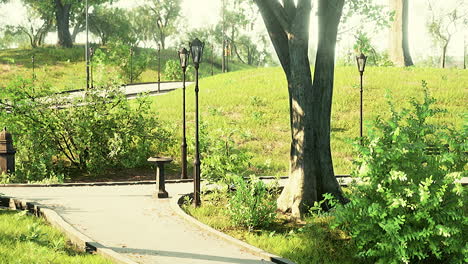 Vista-Panorámica-De-Un-Sinuoso-Camino-De-Piedra-A-Través-De-Un-Tranquilo-Parque-Verde-De-La-Ciudad