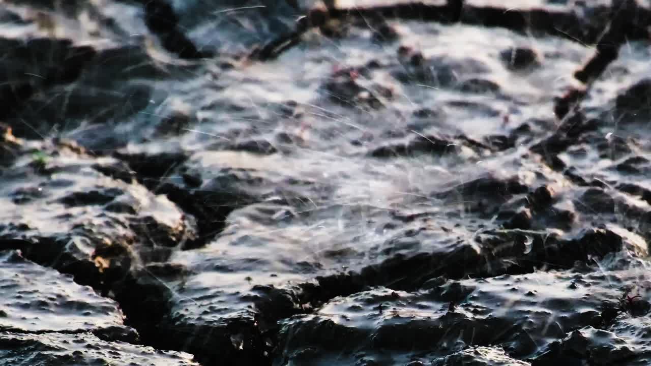 가 - 건조 한 땅 의 건조 한 균열 에 비가 내리는 것