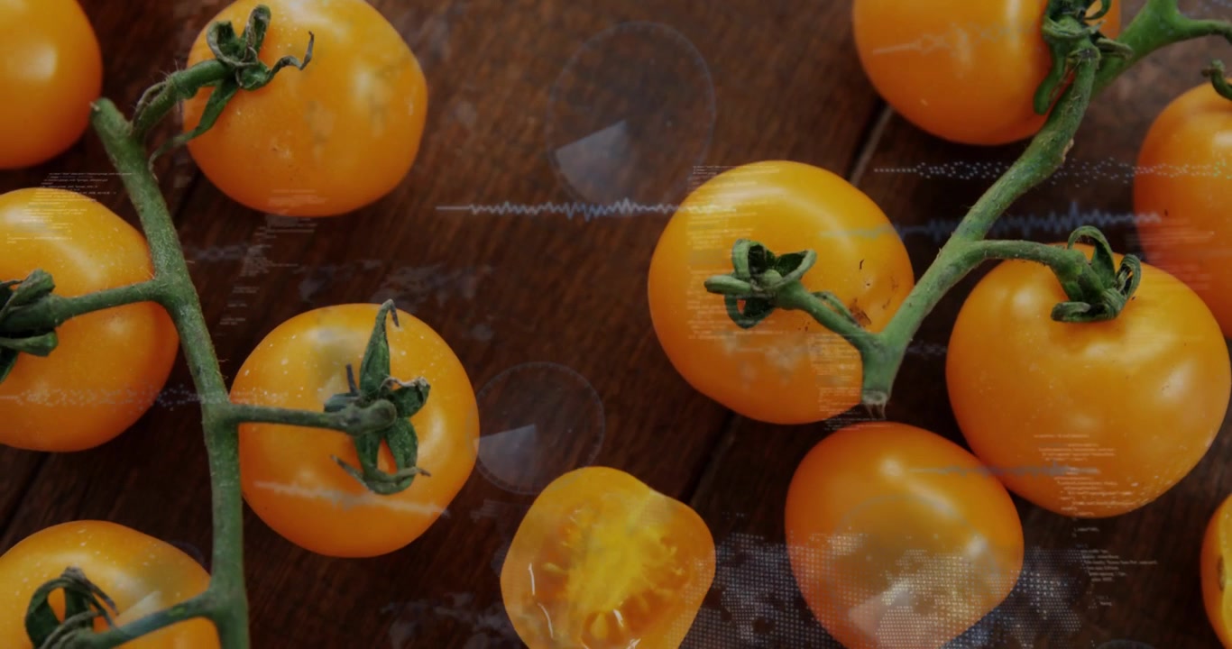 Glansfuld film glider ned, orange tomater kaster glød og bliver sløret for at skabe forvrængning.