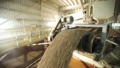 stones pouring from secondary crusher in a cement manufacturing plant. tilt down