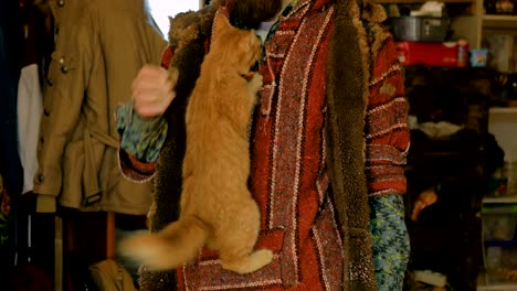 man holding and nursing orange kitten