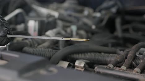 checking oil level in a car engine