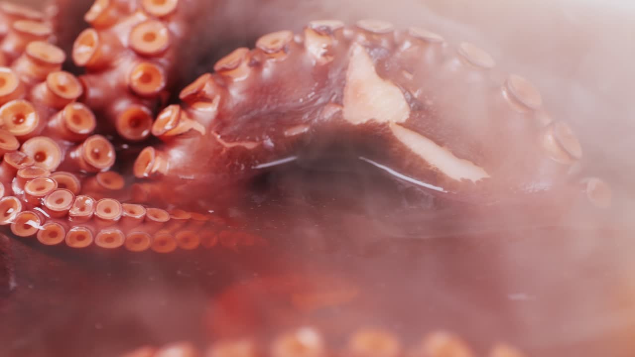Octopus cooking, chef Boiling fresh octopus on restaurant kitchen, healthy food, seafood cafe in spain, traditional asian japanese spanish and mediterranean dish.