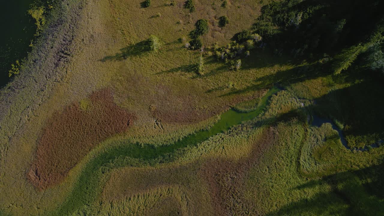 pequeño río pantanoso en el lago spitzingsee en los picos de las montañas bávaras austriacas sudelfeld wendelstein alpes con idílicos y exuberantes prados de hierba verde