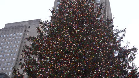 rockefeller center christmas tree new york