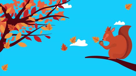 hello autumn animation with squirrel in tree scene
