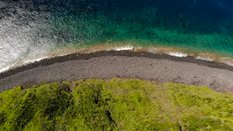 top down aerial drone view of rocky beach, green forest and turquoise ocean