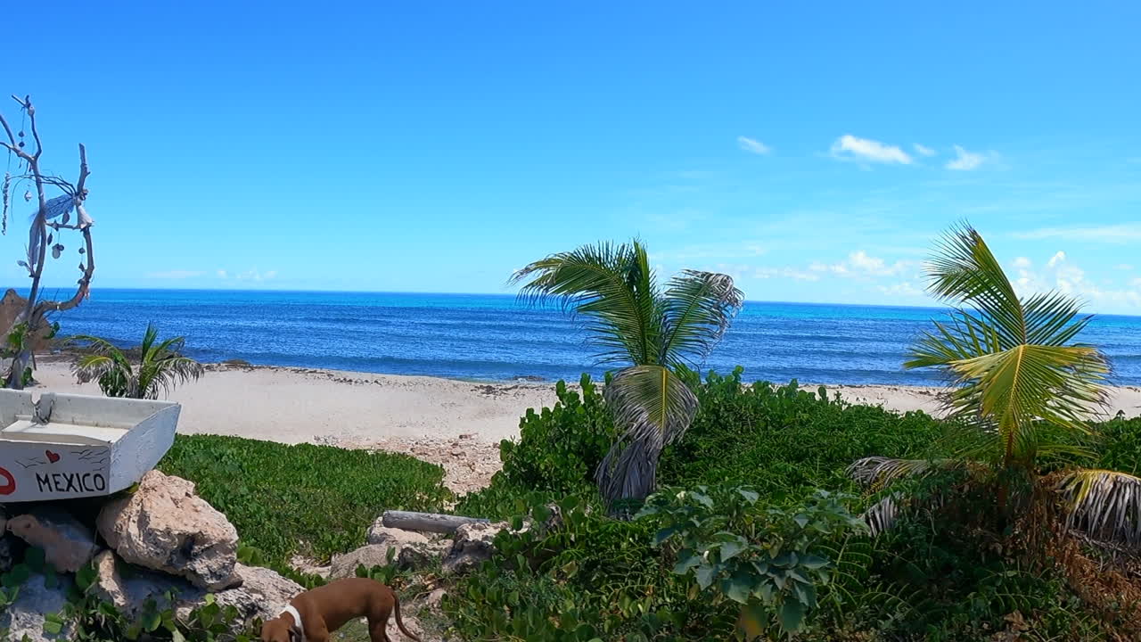 Footage from a golf cart driving around Isla Mujeres, capturing scenic beaches and coastal views