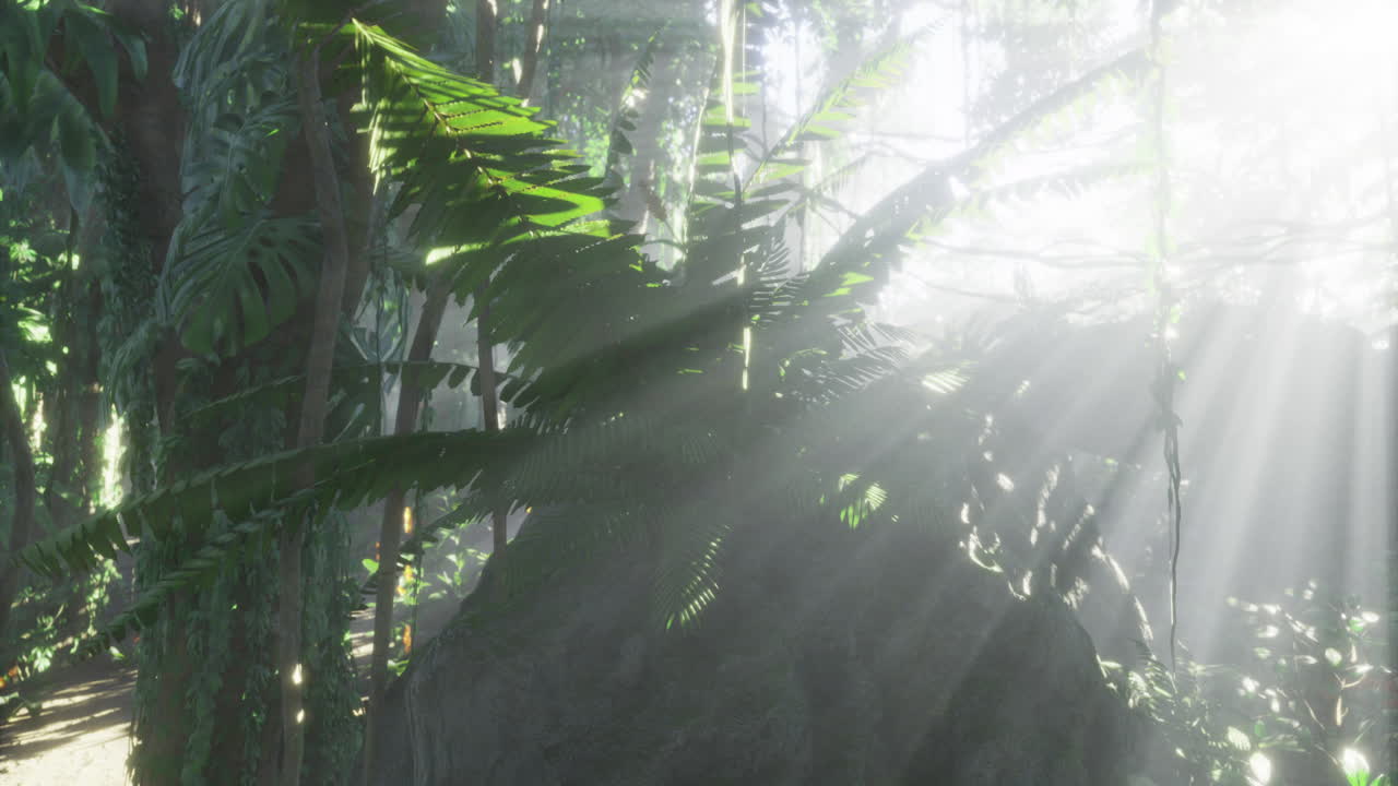 Sunlight filters through lush rainforest foliage in a serene setting