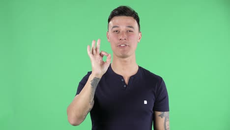 portrait of a handsome young guy is looking at the camera and making sign ok. green screen