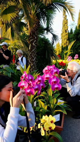 people taking photos of orchids in a garden