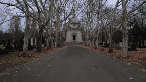 monumental tomb in graveyard cemetery path, tall leafless autumn trees on sides, backwards