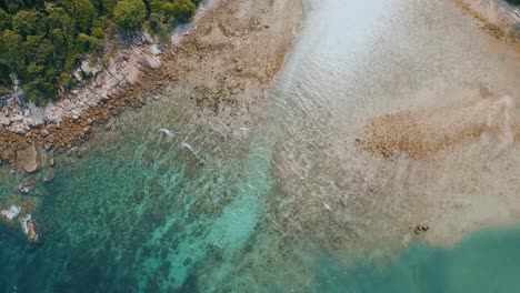 Aerial-Shot-Of-Tropical-Island-with-Crystal-Clear-Sea